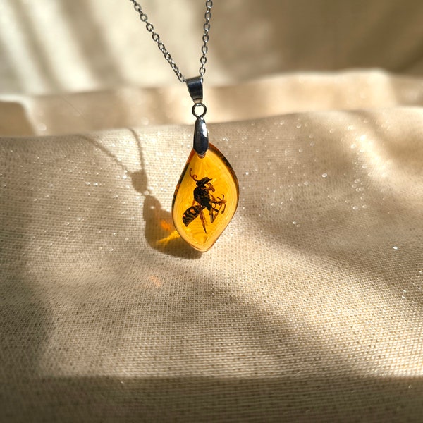 Real Preserved Wasp Amber Color Necklace, Bee in Amber Pendant, Insect Jewelry, Bee Gifts, Bee Keeper Gift, Birthday Gift for Him