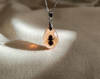 Collar con colgante de abeja auténtica preservada: colgante de insecto de resina color ámbar, joyería para amantes de las abejas.