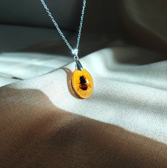 Real shop bug jewelry