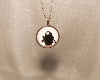 Collar con colgante de abeja auténtica de resina: Colgante de insecto en oro rosa