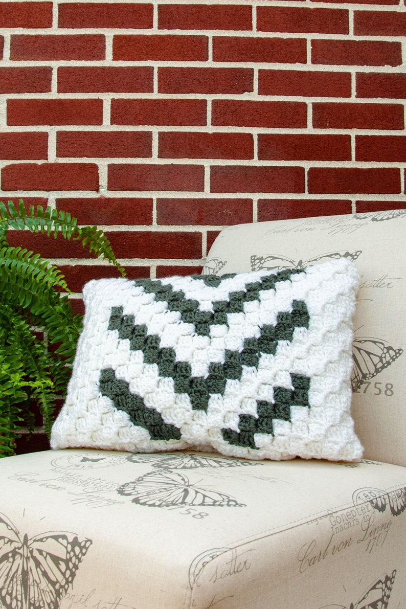 Muddy Pines C2C Crochet Pattern BUNDLE image 5