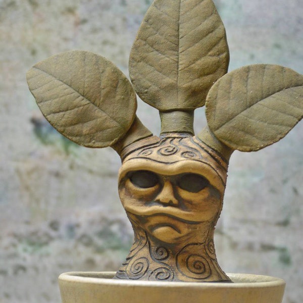 Mandrake Storage Pot