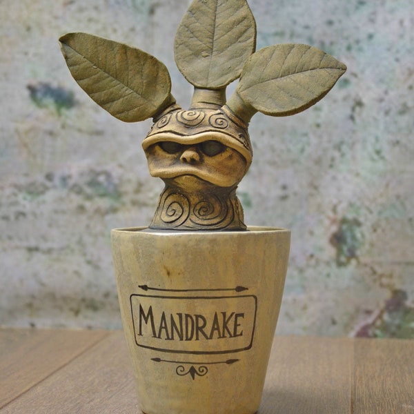 Mandrake Storage Pot