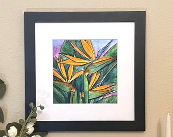 Watercolor Bird of Paradise Giclee Fine Art Print - Unframed First Editions