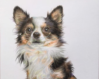 Original drawing, Small dog, Children's friend, Colored pencil, Handmade, One of a kind