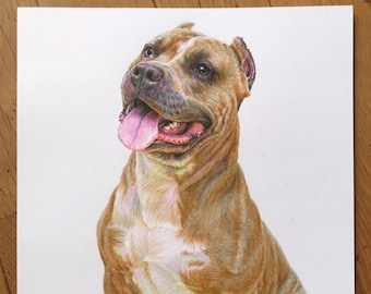 Original Colored Pencil Dog Portrait, Ukrainian Art