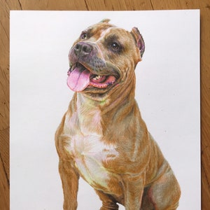 Darling Dog Children Friend, Expressive Colored Pencil, Hand Made One Of a Kind, Original colored  drawing paper