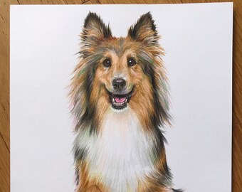 Original Drawing, Petty Dog, Children Friend, Colored Pencil, Hand Made, One Of a Kind