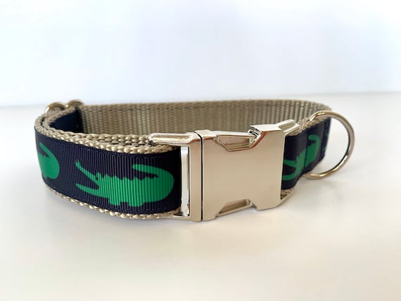 Later Gator Collar Lacoste inspired dog 