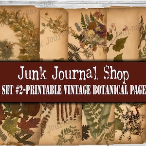 Set #2-"Printable" Botanical pages from an 1800's scrapbook-digital download ONLY. 10 Page Set, Junk Journal Shop, digital botanical