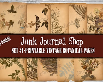 Set #1-"Printable" Botanical pages from an 1800's scrapbook-digital download ONLY. 10 Page Set, Junk Journal Shop, digital botanical