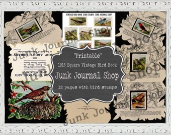 1916 SQUARE- Vintage Bird Book-Printable/Digital. 12 pages including a full page of bird stamps.