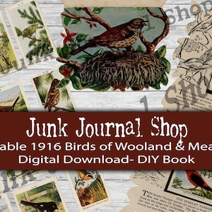 DIY to fussy cut- 1916 Vintage Printable Bird Book- 11 pages & 1 Full Page of Bird Stamps, Junk Journal Shop