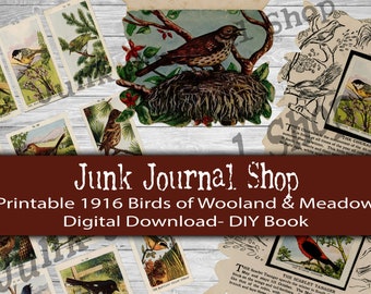 DIY to fussy cut- 1916 Vintage Printable Bird Book- 11 pages & 1 Full Page of Bird Stamps, Junk Journal Shop