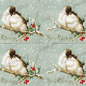 May include: A vintage Christmas card featuring two white birds perched on a snow-covered branch with red berries. The background is a light blue with a snowy effect. The text "Merry Christmas" is printed at the bottom of the card.