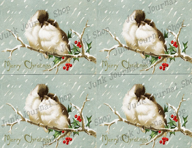 May include: A vintage Christmas card featuring two white birds perched on a snow-covered branch with red berries. The background is a light blue with a snowy effect. The text "Merry Christmas" is printed at the bottom of the card.