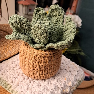 Leaf drink coasters. Plant coasters. Crochet coasters. Crochet leaf coasters. Handmade crochet coasters. Leaf coasters.
