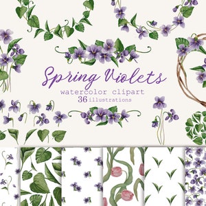 Violett Aquarell Blumen Clipart png Frühlings florale Illustration Wildblumen Musterdesign Botanische Gartenarrangements