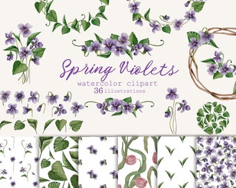 May include: Watercolor clipart of spring violets in purple and green. The set includes 36 illustrations of individual flowers, wreaths, and patterns.