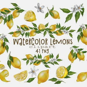 41 Aquarell Zitrone Clipart Botanische Frucht Illustration PNG Aquarell Zitrone Blütenkranz Florale Elemente