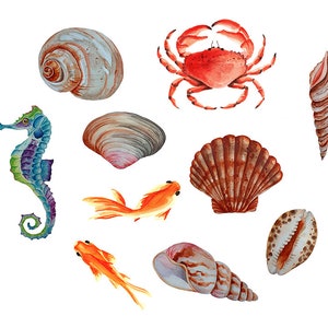 Sea shells art print set of 10, Watercolor marine bathroom clipart decor, Nautical nursery wall decor, Instant Download