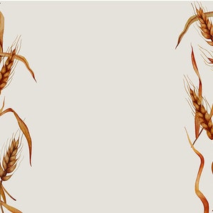 Aquarell Weizenähren Banner png. Vintage botanische Tapete. Sommerliche Wandkunst