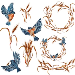 9 Aquarell Weizen und Vögel Planer Aufkleber svg.  Hand gezeichnete botanische Illustrationen. Sommerliche Wandkunst.