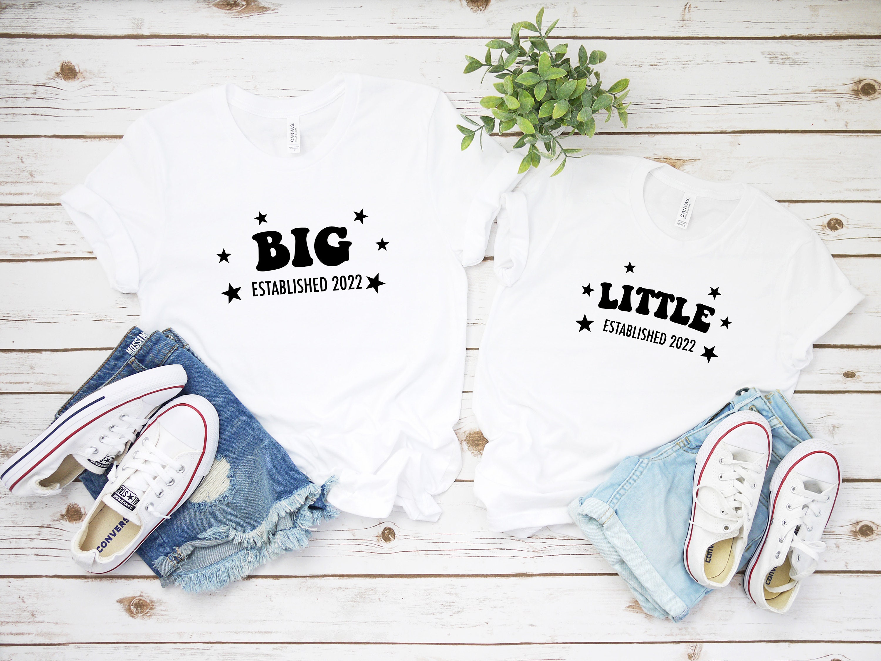 Big Reveal Sorority Little Sister Big Little Week Fire Big T-Shirt Big Reveal Sorority Little Sister Big Little Week Fire Big T-Shirt
