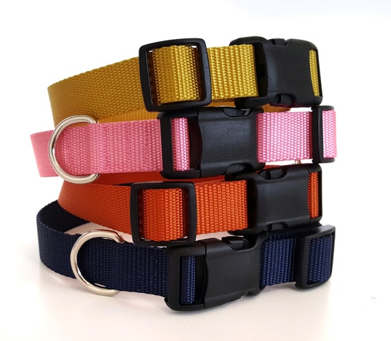 simple dog collar