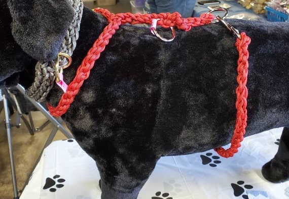 Paracord harness top