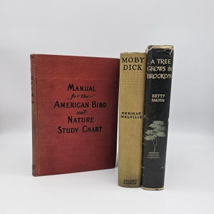 Libros antiguos de tapa dura 1909 - 1943 Manual para el pájaro americano / Moby Dick / Un árbol crece en Brooklyn