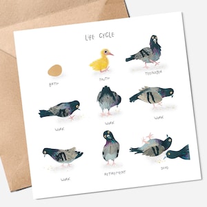Carte de voeux Cycle de vie - Pigeons - Vieillir - La quarantaine et la retraite - Humour noir