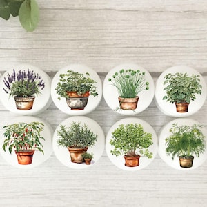 May include: Eight white ceramic cabinet knobs featuring watercolour illustrations of potted herbs. The herbs include lavender, parsley, chives, basil, rosemary, and dill. Each knob has a different herb in a terracotta pot.