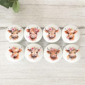 Floral Highland Cow Drawer Knobs: Beech Wood Furniture Knobs