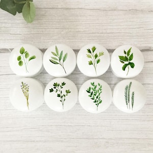 May include: Eight white cabinet knobs with watercolour botanical designs. Each knob features a different green herb or plant illustration, including leaves and sprigs. The knobs are round and have a glossy finish.