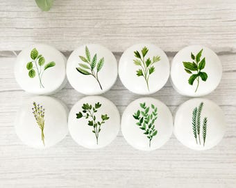 Herb Drawer Knobs: Beech Wood, Kitchen Dresser Handles