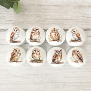 Owl Drawer Knobs: Painted Beech Wood, Woodland Decor, Nature Themed Handles.