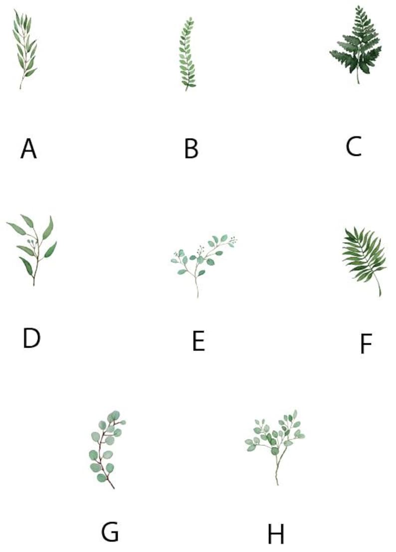 K&ouml;nnte beinhalten: Ein Satz von acht Aquarell-Illustrationen verschiedener Gr&uuml;npflanzen, darunter Farne, Eukalyptus und Zweige. Jede Illustration ist mit einem Buchstaben von A bis H gekennzeichnet.
