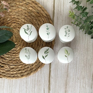 Six white solid beech furniture knobs each with a different leaf design on the front in different shades of green.  The knobs are shown on a pale wood background with a wicker mat and foliage for decoration. The cabinet handles have a glossy finish.