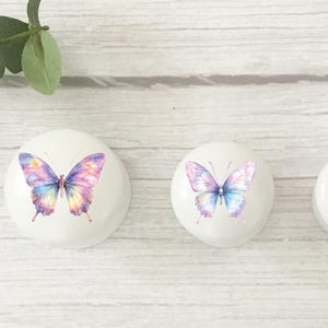 Three white round solid beech furniture knobs each with a rainbow butterfly design. The handle are shown in 3 different sizes shown from largest to smallest on a pale wood background with succulent plants for decoration.