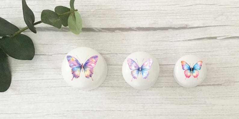 Three white round solid beech furniture knobs each with a rainbow butterfly design. The handle are shown in 3 different sizes shown from largest to smallest on a pale wood background with succulent plants for decoration.