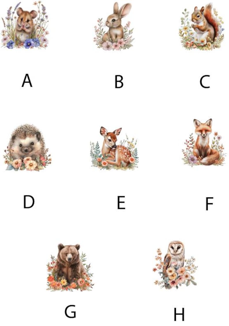 May include: Watercolour illustrations of woodland creatures: a hamster, rabbit, squirrel, hedgehog, deer, fox, bear, and owl. Each animal is surrounded by flowers and foliage, with letters A to H below each image.