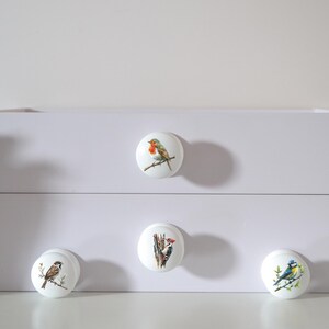 Bird Drawer Knobs, English Bird Knobs, Dresser Pulls, Handles, Robin, Furniture Handles, Furniture Knobs, Door Handles, Dresser Handles. zdjęcie 7
