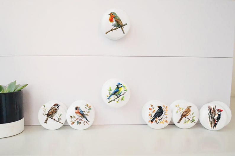 Może przedstawiać: Zestaw ośmiu białych ceramicznych gałek do szuflad z r&oacute;żnymi ilustracjami ptak&oacute;w. Każda gałka przedstawia inny gatunek ptaka, w tym rudzika, sikorkę, wr&oacute;bla i dzięcioła.