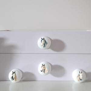 Four white round solid beech furniture knobs with different horse illustrations. The illustrations include 4 horse heads in a colour scheme of tan, brown, grey, white and beige. The cabinet pulls have a glossy finish and are shown on a chest of drawers with succulent plants for decoration.