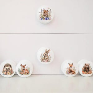May include: White ceramic cabinet knobs featuring woodland animal illustrations. Designs include a lion, rabbit, hedgehog, deer, fox, bear, and owl, each surrounded by floral accents. Ideal for a nursery or children's room.