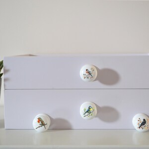 Bird Drawer Knobs, English Bird Knobs, Dresser Pulls, Handles, Robin, Furniture Handles, Furniture Knobs, Door Handles, Dresser Handles. zdjęcie 2
