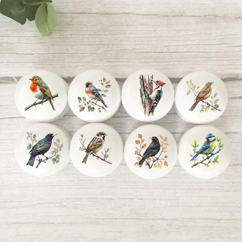 Bird Drawer Knobs, English Bird Knobs, Dresser Pulls, Handles, Robin, Furniture Handles, Furniture Knobs, Door Handles, Dresser Handles. zdjęcie 1