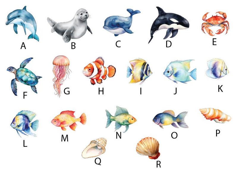 May include: An alphabet chart featuring various sea creatures, including a dolphin, seal, whale, orca, crab, turtle, jellyfish, clownfish, angelfish, fish, seashell, and a starfish.