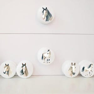 Seven white round solid beech furniture knobs each with a different horse illustration. Two are standing and five are horse heads in different shades of grey, white, brown, beige. The drawer handles have a glossy finish and are shown on a chest of drawers with succulent plants for decoration.